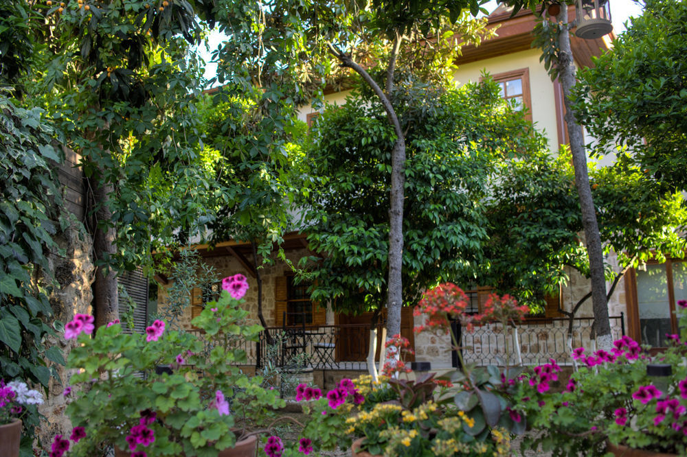 Citrus Garden Hotel Анталія Екстер'єр фото